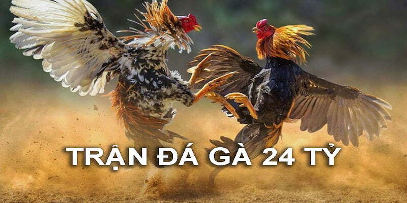 https://www.eetstoornismanagement-anyyou.nl/im/storage/bai-viet-lien-quan/tran-da-ga-24-ty-1.jpg
