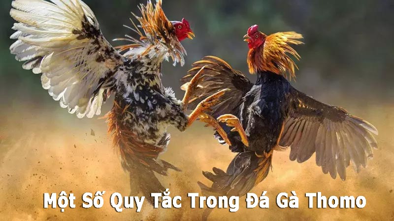 https://www.eetstoornismanagement-anyyou.nl/im/storage/luat-da-ga/luat-da-ga-thomo-1.jpg